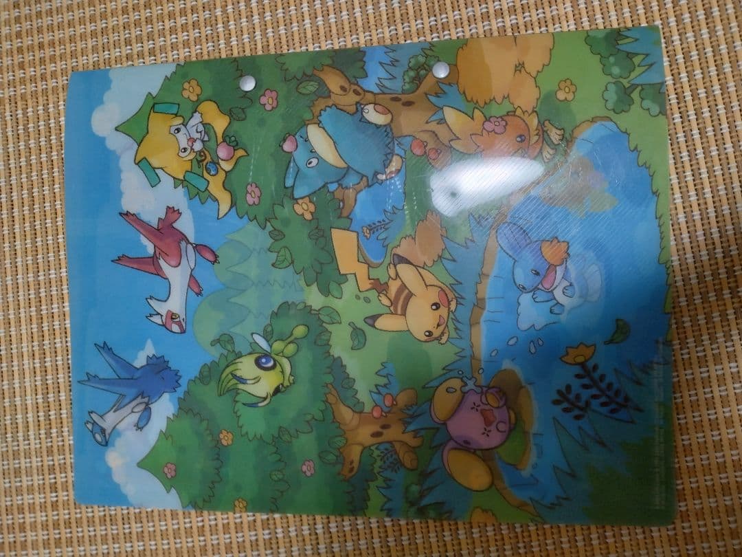 ポケモンプラチナムファイルフォレストシート