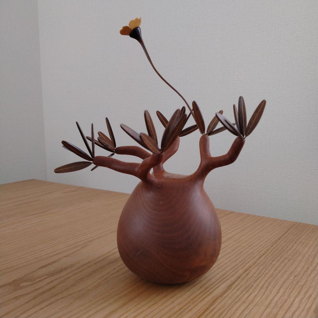 N*I様 落札キャンセルによる再出品 MOCMOC グラキリス　木製　枯れないグ