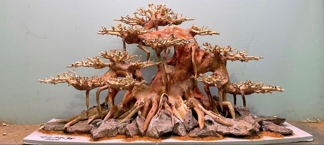 水槽用流木 大きめ 立体的な樹木