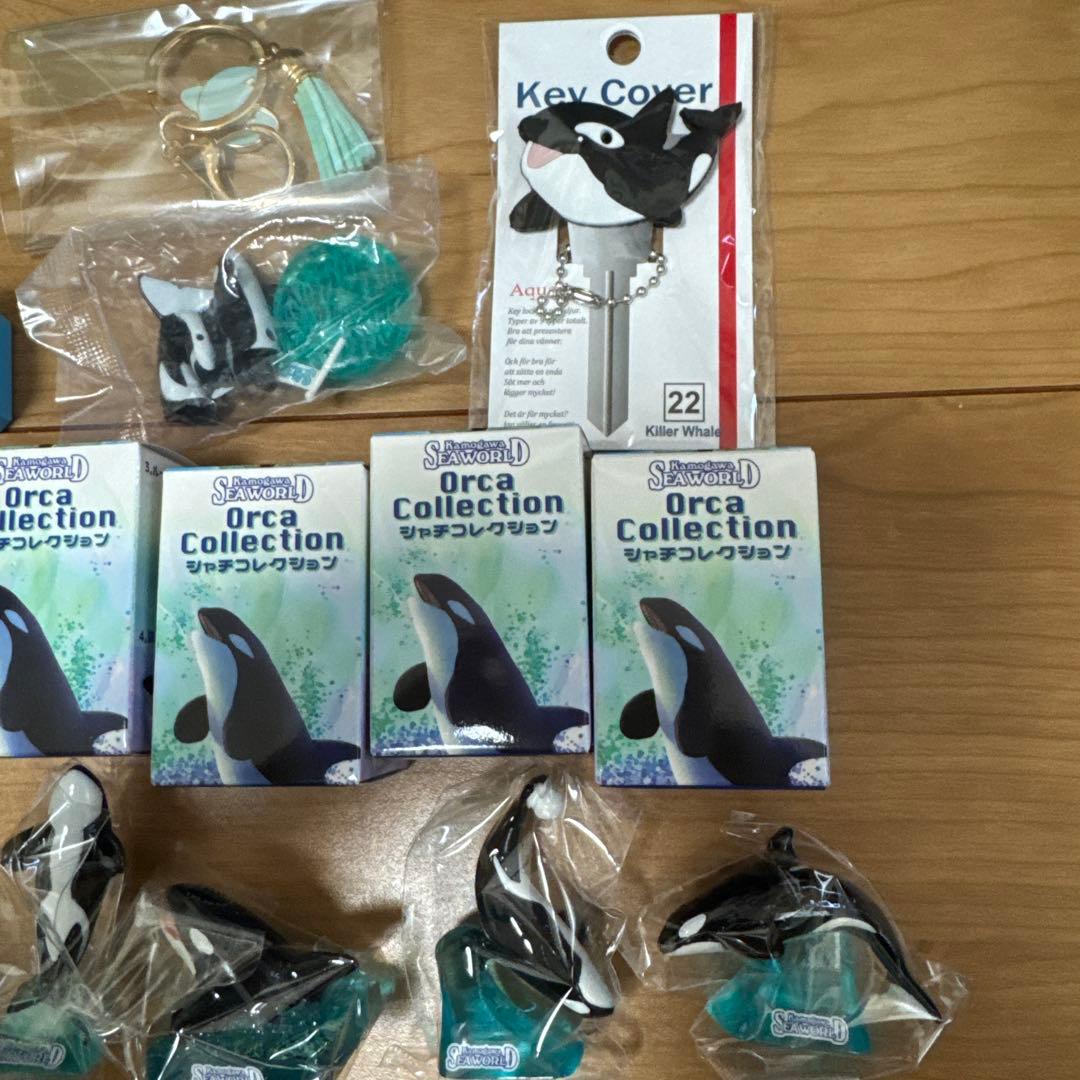 鴨川シーワールド　シャチセット