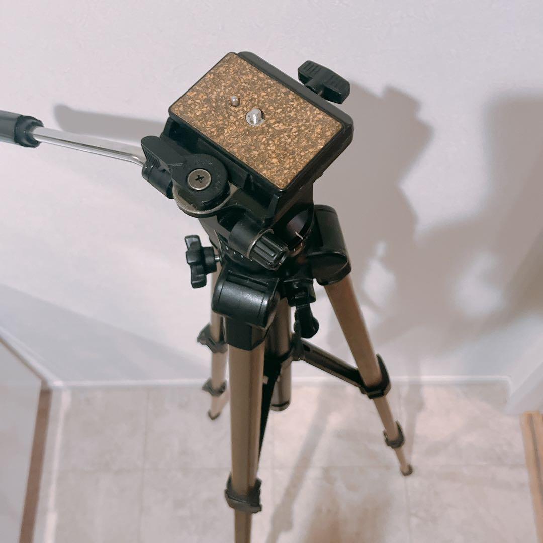 Canon iVIS HF G20 ビデオカメラ 本体・ケース・三脚 すぐ使える