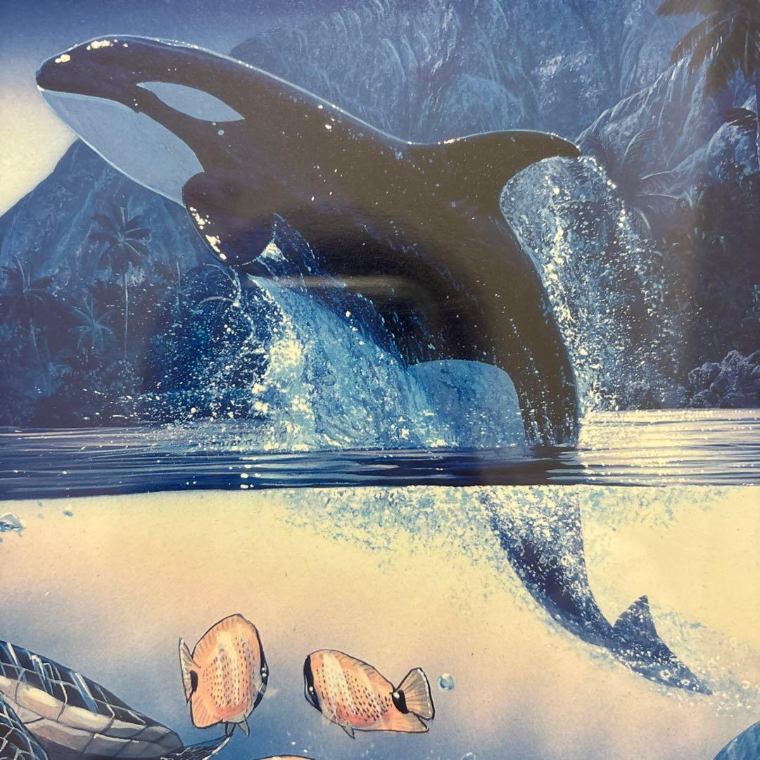クリスチャン・リース・ラッセン　ハーモニー　額装　ポスター　イルカ　海　マウイ