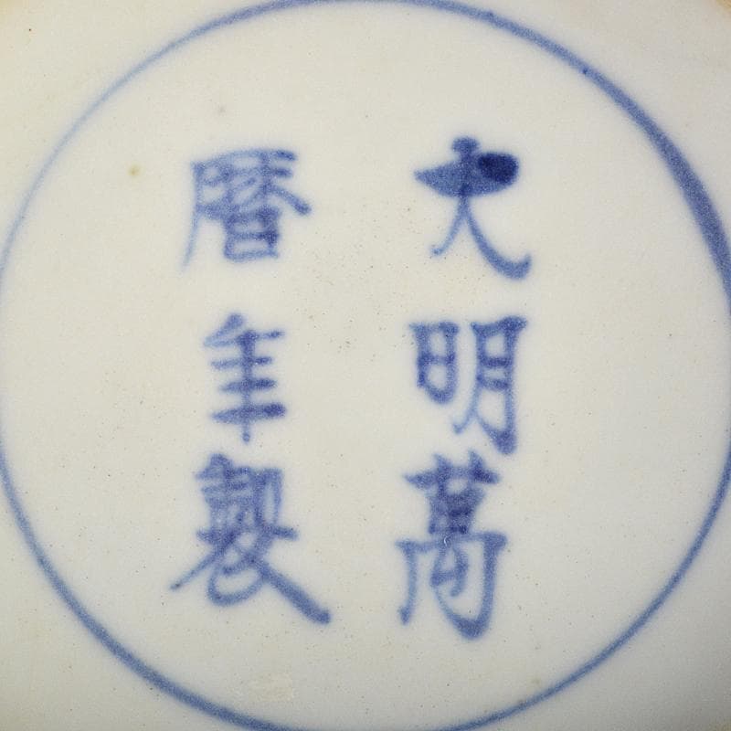 中国　大明萬暦年製款　赤絵　雲龍花文　双魚耳瓶　時代箱付　M　R7343