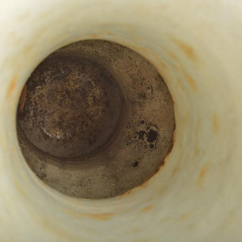 中国　大明萬暦年製款　赤絵　雲龍花文　双魚耳瓶　時代箱付　M　R7343