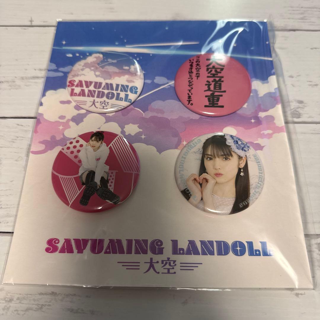 道重さゆみ ⑩ A5ワイド生写真 2023〜24年 27枚と缶バッチのセット