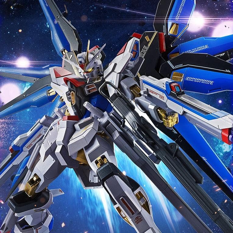 ストライクフリーダムガンダム弐式 他3点セット【メタルロボット魂】