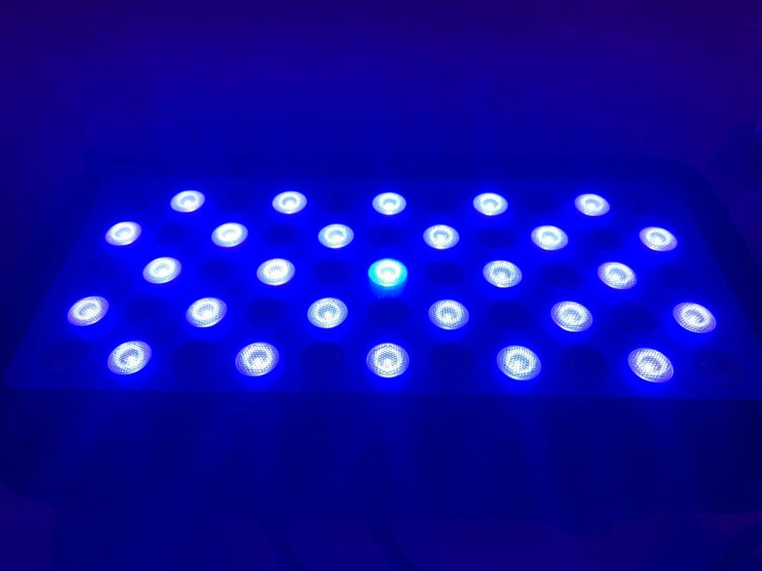 水槽　ライト　サンゴ飼育　ブラックボックス