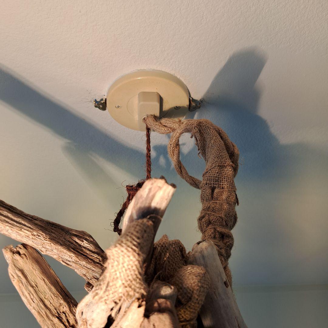 流木インテリア　6灯ペンダント　エジソン球付　ヴィンテージソケット　6〜10帖