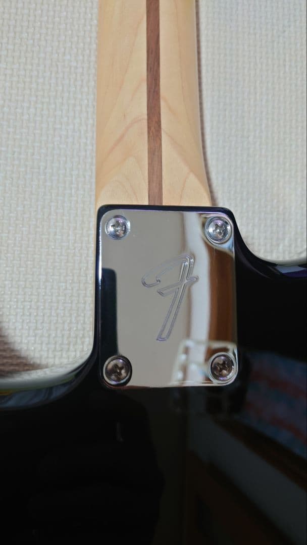 ギター Fender Player Stratocaster