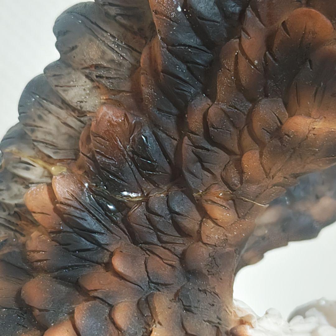 Bald Eagles フィギュリン 親子 ヒナ