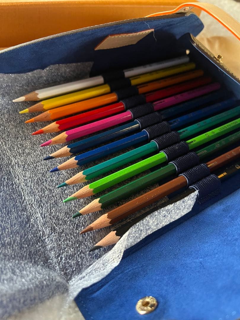 ⭐︎未使用⭐︎Louis Vuitton ルイヴィトン 12エテュイ 色鉛筆