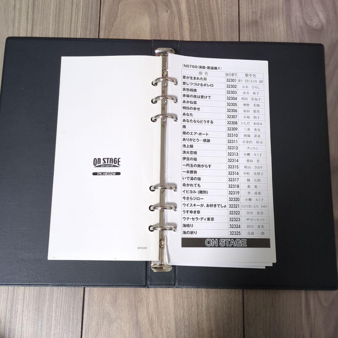 ON STAGE ワイヤレスカラオケシステム P-NK-NG2WD