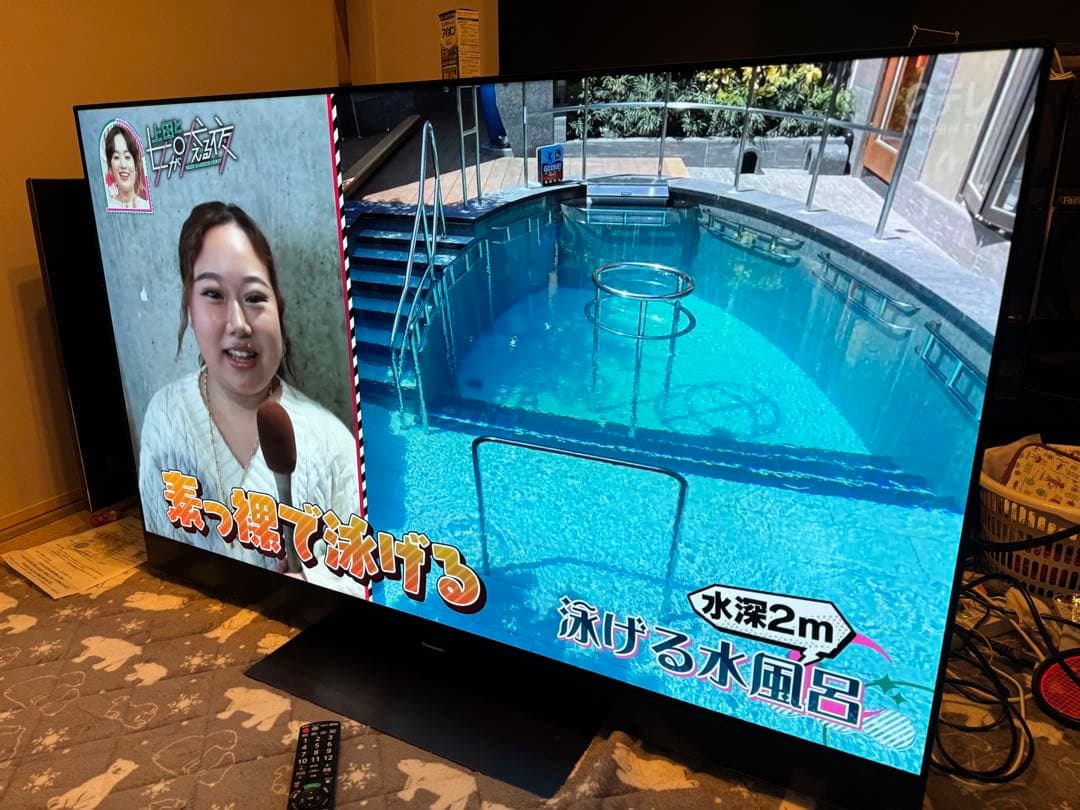 Panasonic有機ELテレビ　55型 2019年　焼き付きあり