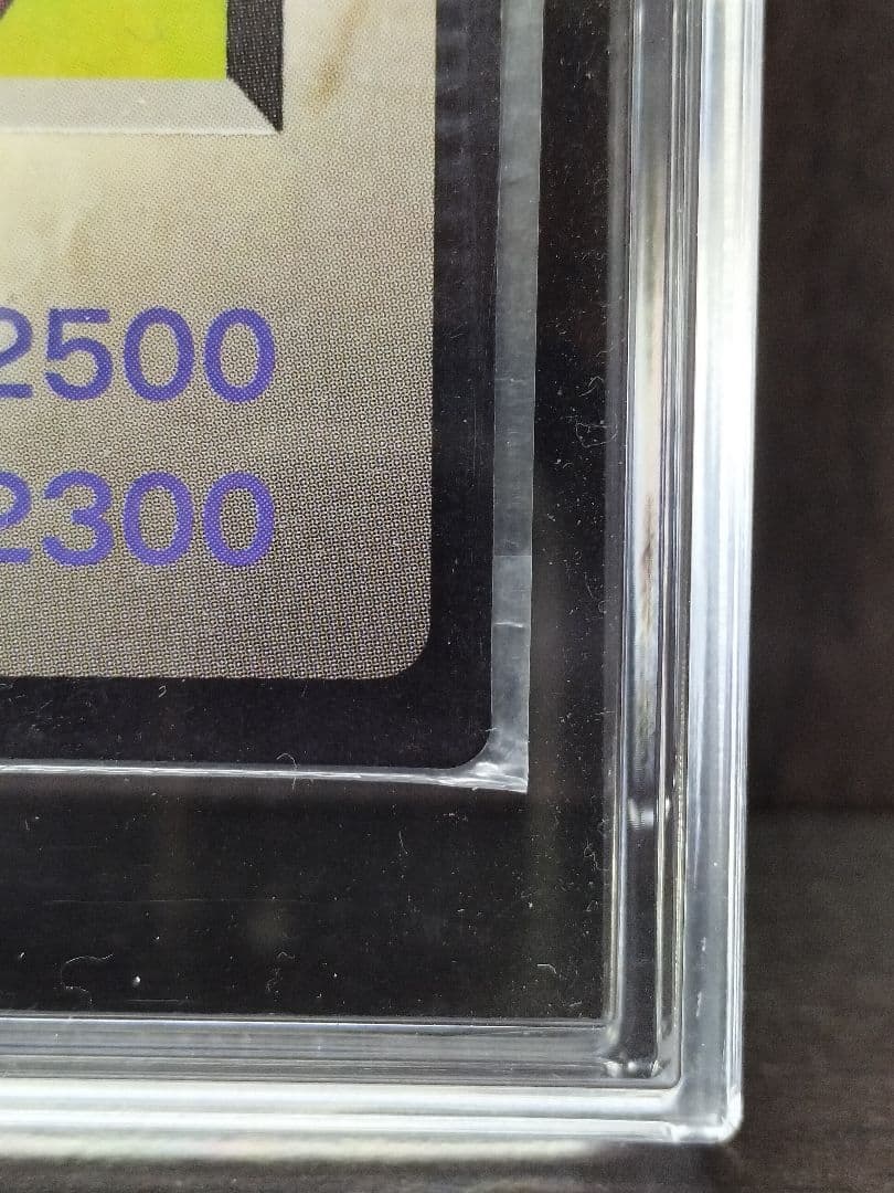 ツ*ム様 未開封　ホーリーナイトドラゴン　聖夜竜