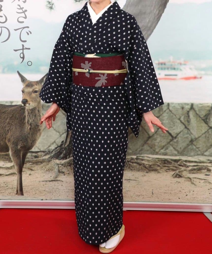 久留米絣　木綿着物　梅屋