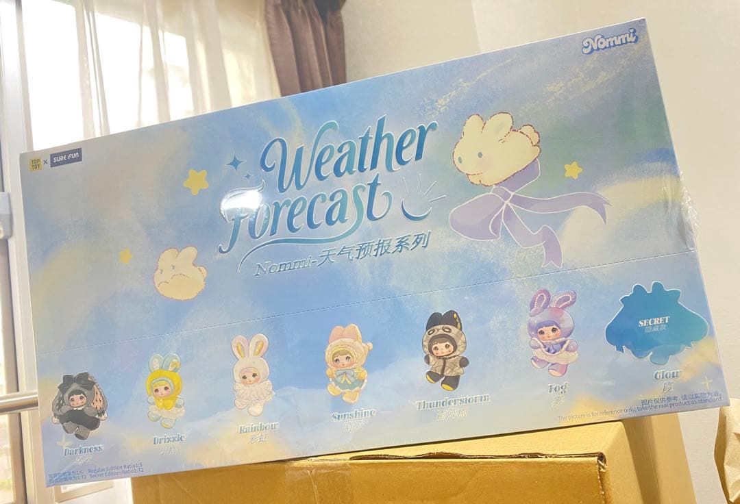 MAKOTOさま専用nommi WeatherForecast 6箱セット未開封