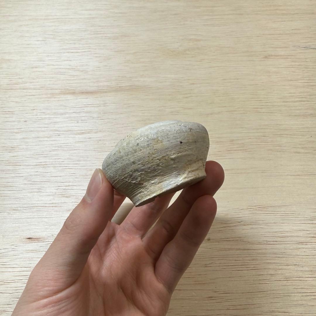 古瀬戸 小壷 蓋物 鎌倉時代 山茶碗 古美術 骨董 古常滑 古信楽 古美濃