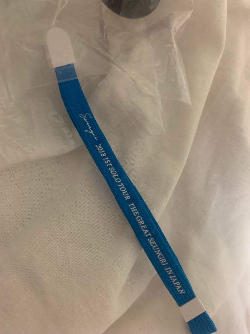 BIGBANG スンリ V.I ペンライト ストロングパンダ