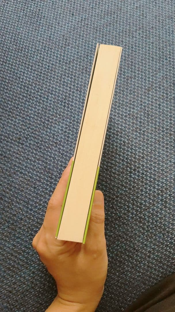 リアリティ トランサーフィン全4巻セット