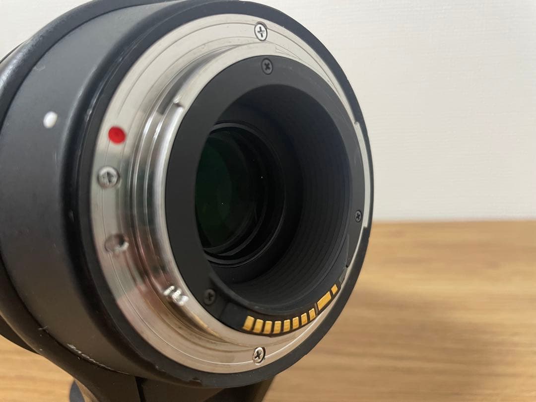 シグマ150-600mm Canan EFマウント