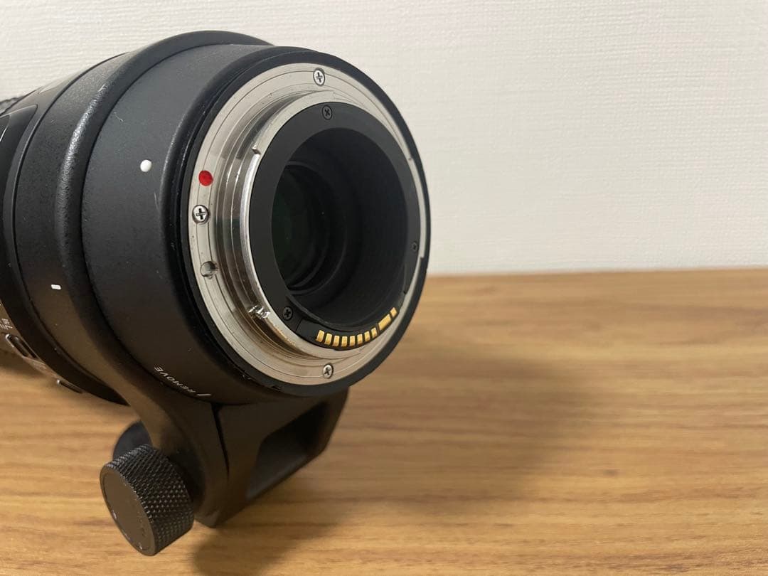 シグマ150-600mm Canan EFマウント