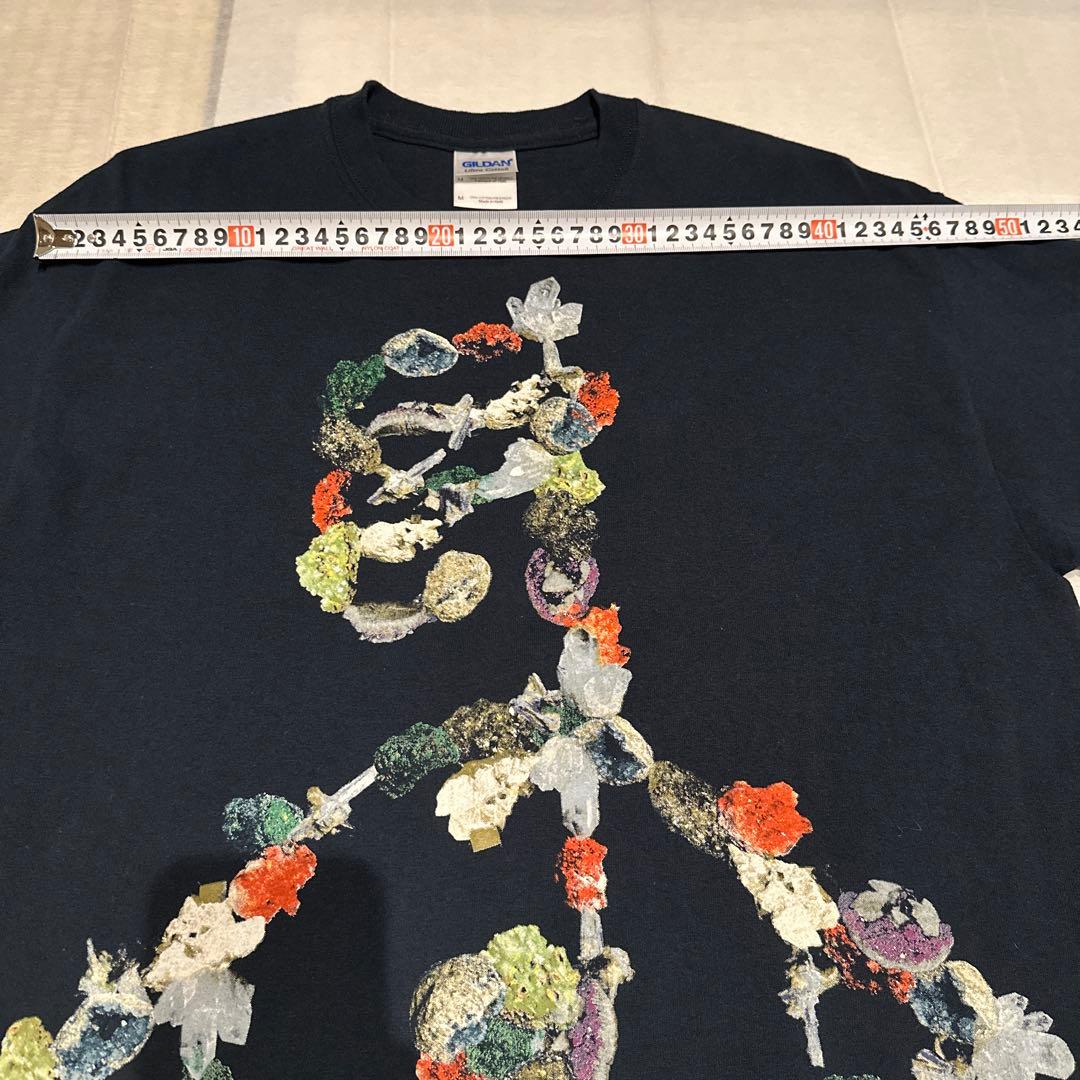 Bjork ビョークTシャツ Mサイズ ヴィンテージ　フジロック