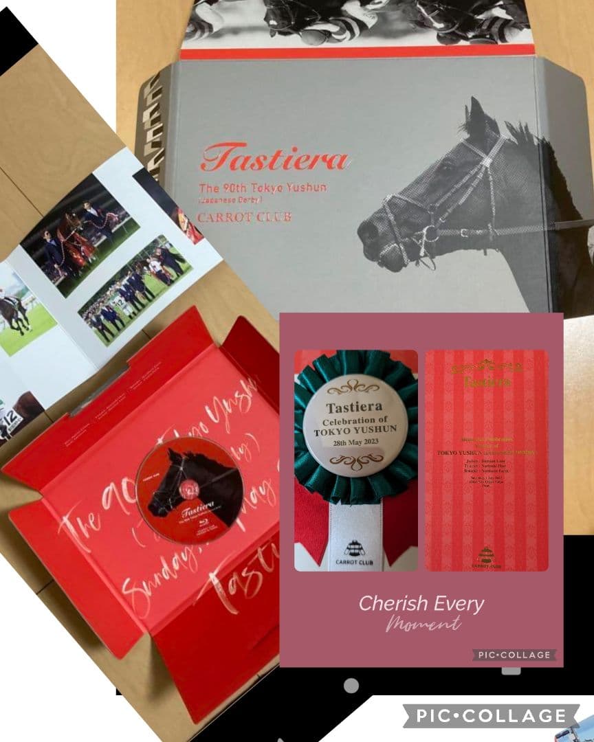 【非売品】タスティエーラ引退　Tastiera 東京優駿 2023 90周年記念