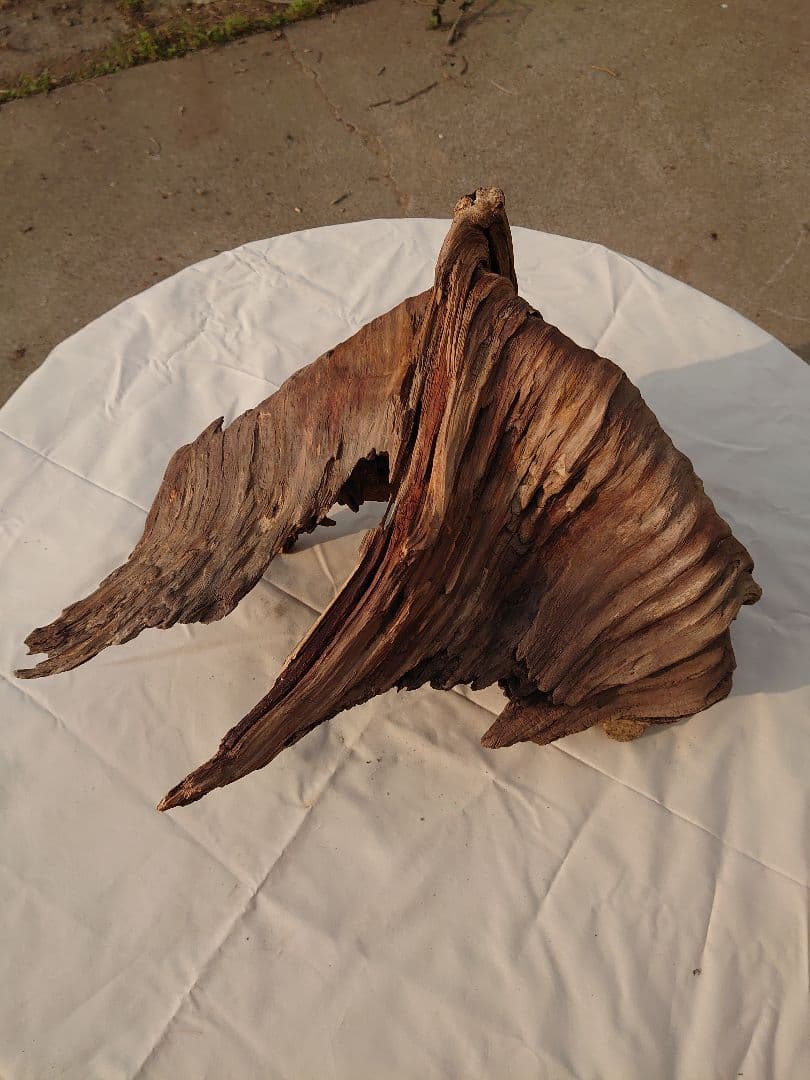 アクアリウム・テラリウム向き流木枯木