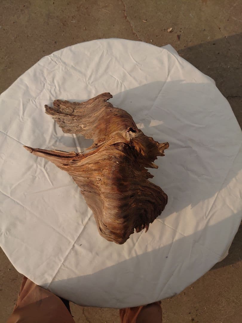 アクアリウム・テラリウム向き流木枯木