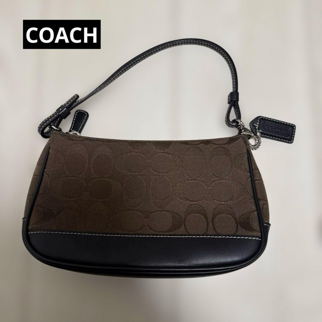 断*）様 コーチ アクセサリーポーチ ハンドバッグ シグネチャー キャンバス レ