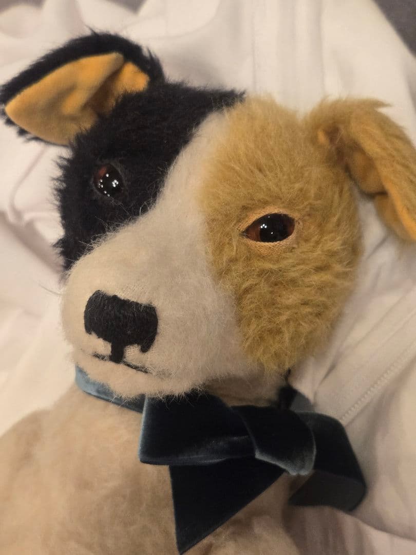 大國早苗さんの 犬のぬいぐるみ。