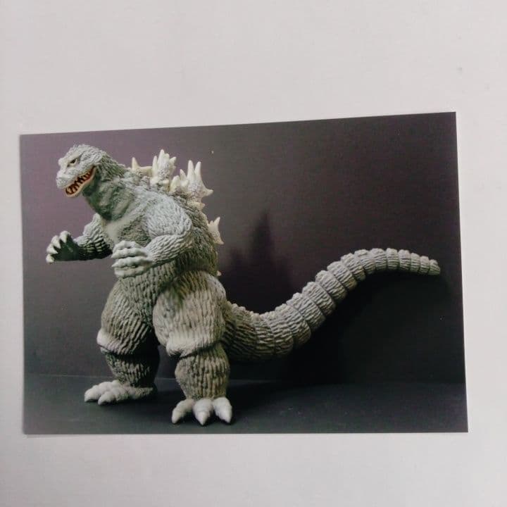 マーミット 30㎝ キンゴジ