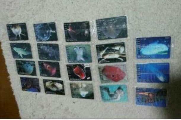 .j-m 30001-明治　深海生物図鑑01~19までフルコンプ