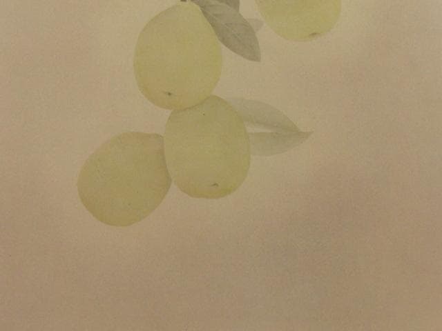 村田茂樹、【かりん】、希少な額装用画集より、新品額装付