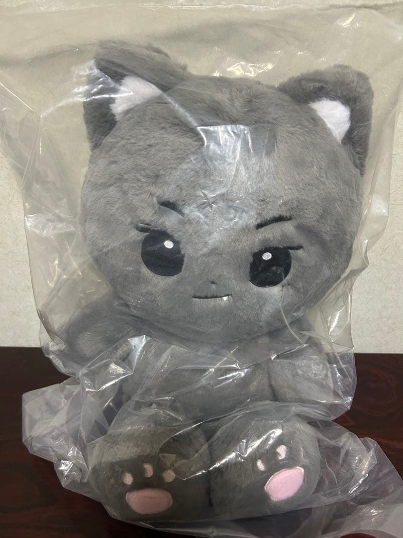 【新品未開封】ENHYPEN JAY ジェイ40cmドール　マスター