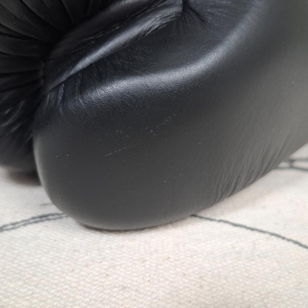 【美品】TWINS SPECIAL ボクシンググローブ 8oz