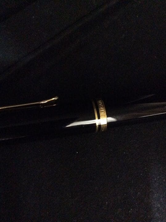 ペリカン万年筆スーべレーン600 W-GERMANY