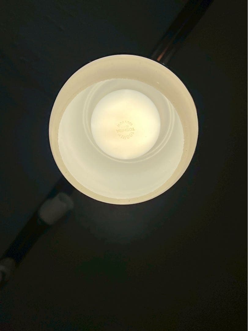 和室 天井照明 ペンダントライト 昭和レトロ 和 インテリア 当時物