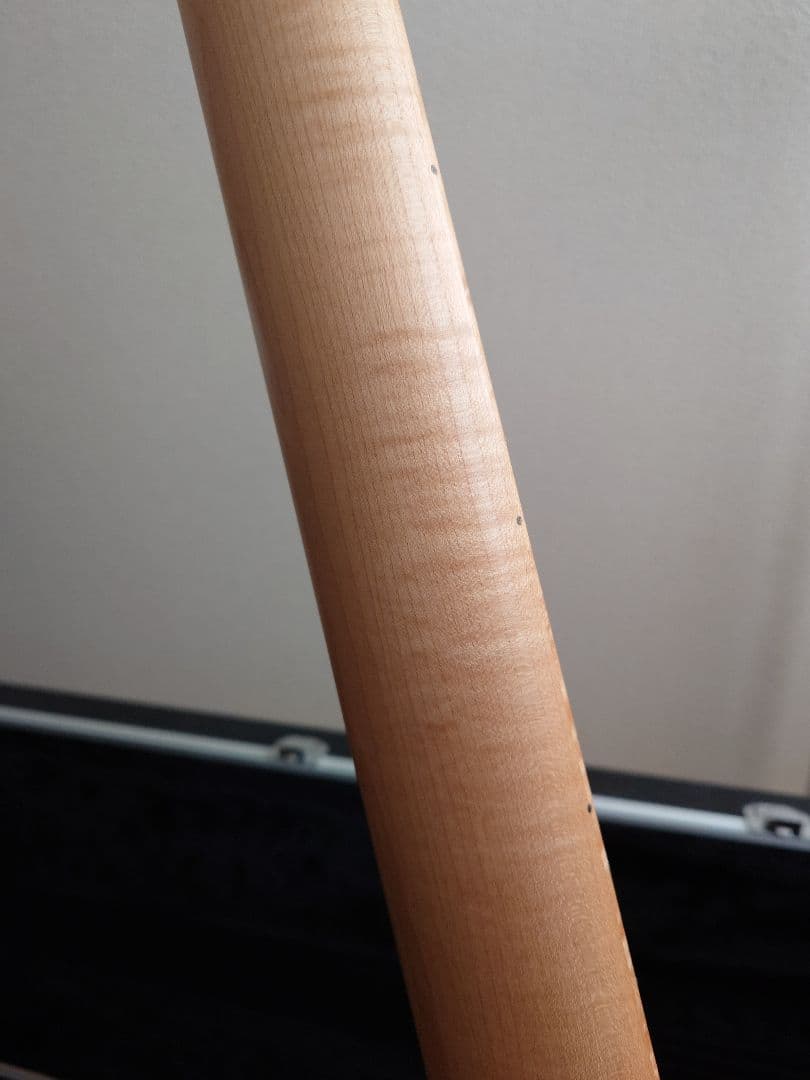 Freedom Custom Guitar Research フルオーダー JB