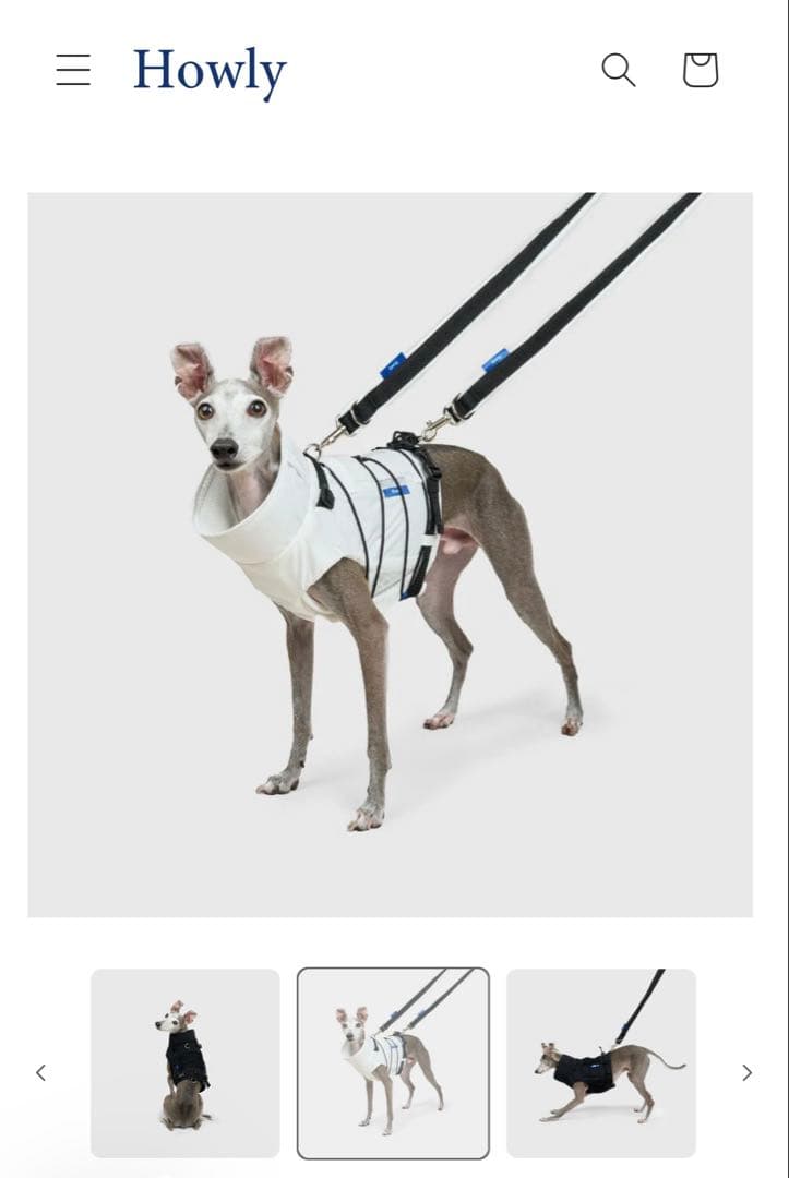 犬服・アクセサリー Howly FRAME-X ADV HARNESS - White Msize