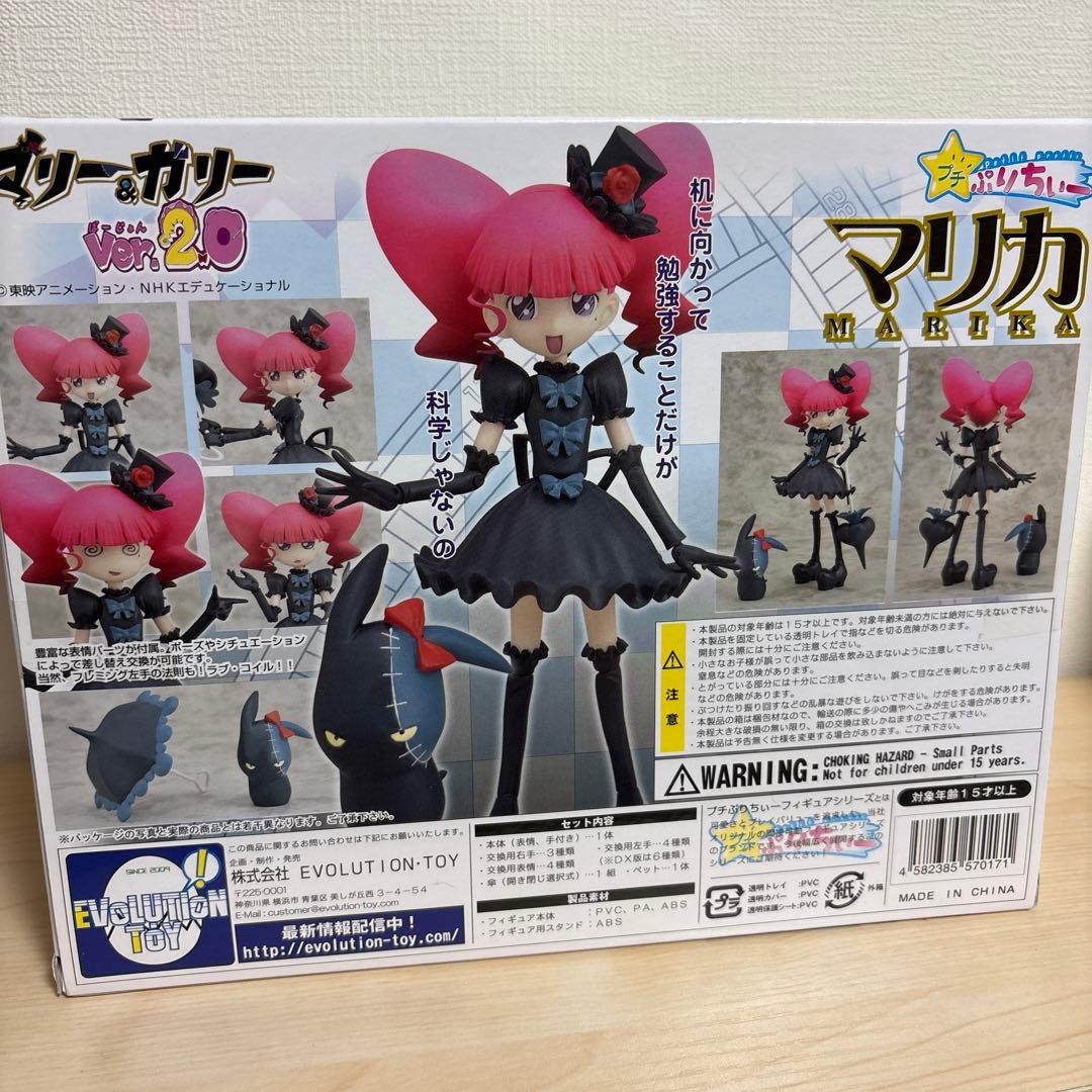 マリー＆ガリー Ver2.0 マリカ DX初回限定版