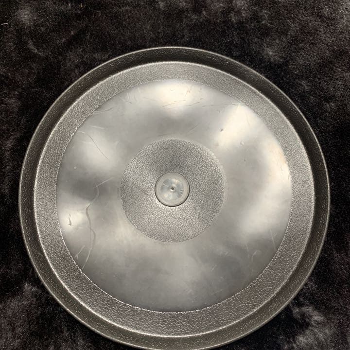 メンディーのフリスビー