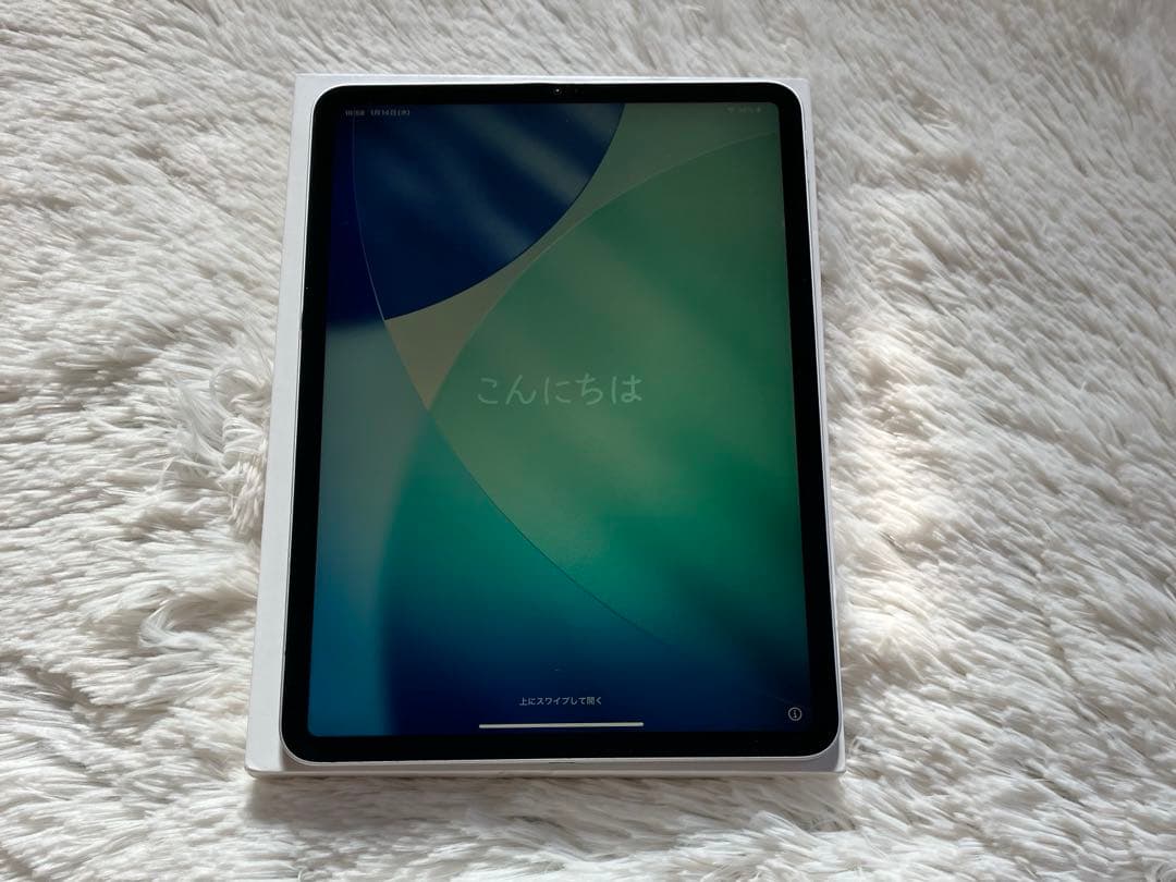 【ラスト1台】iPad Pro 11インチ 第3世代 256GB 【すぐ発送】