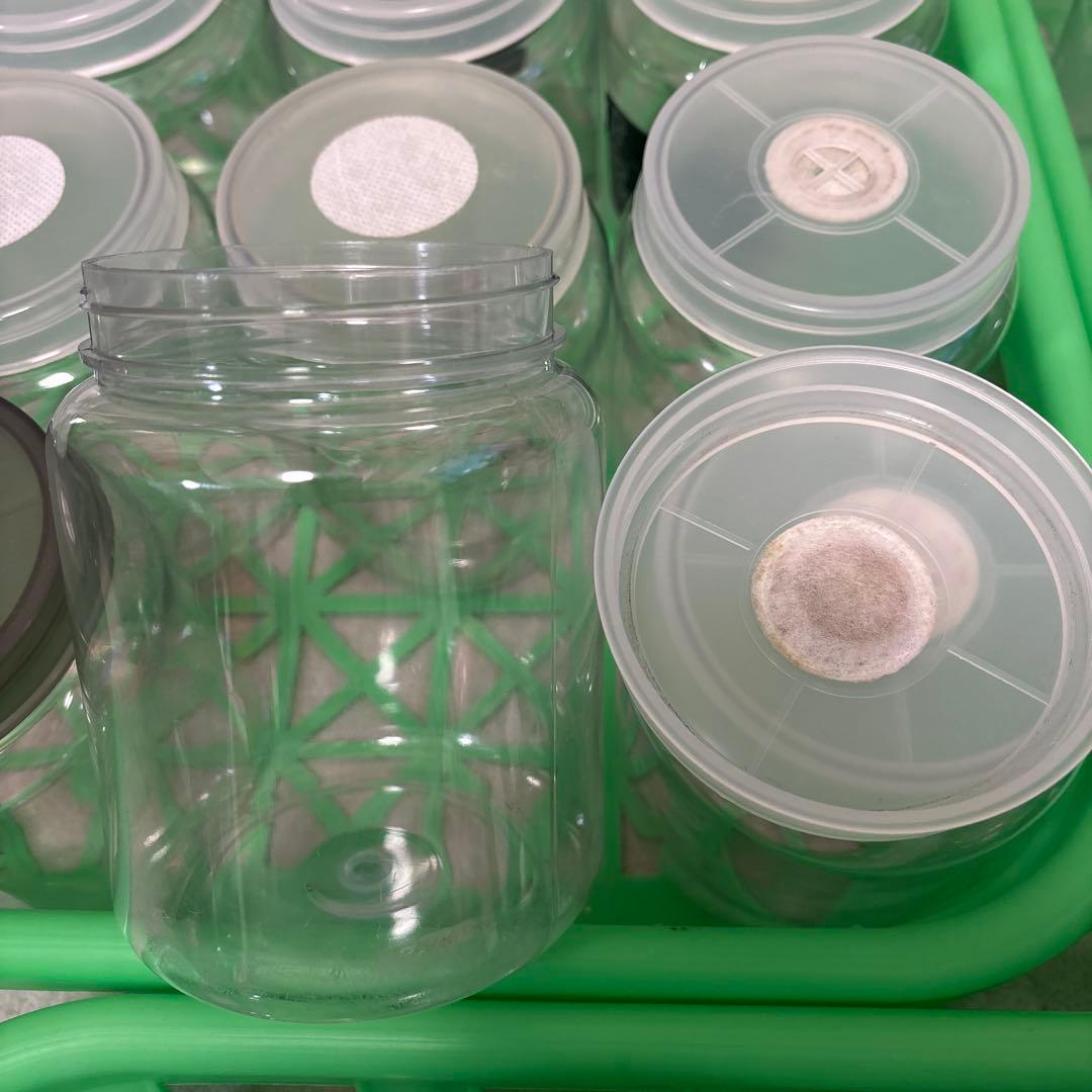 菌糸ボトル 800～830cc 32本 2300cc 5個 コンテナ3枚 まとめ