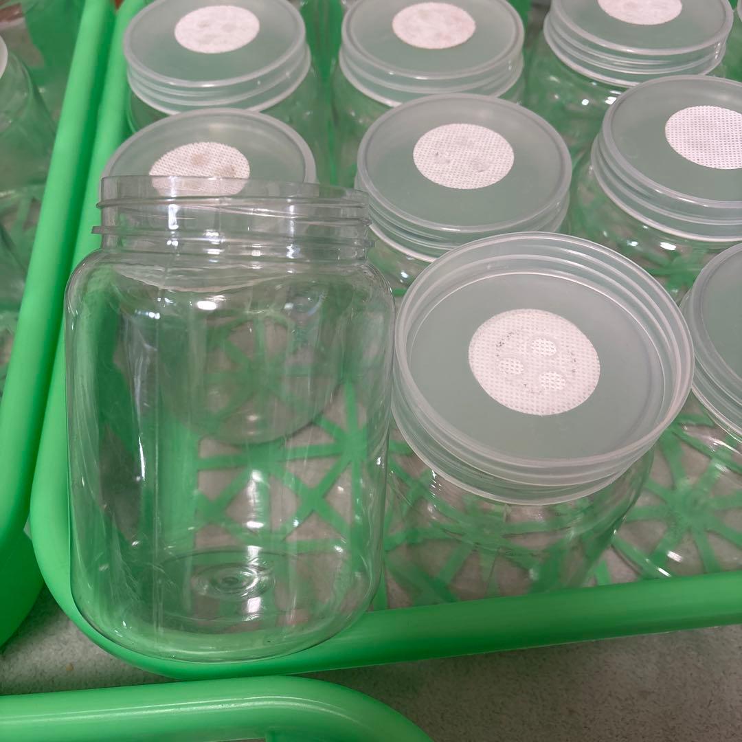 菌糸ボトル 800～830cc 32本 2300cc 5個 コンテナ3枚 まとめ