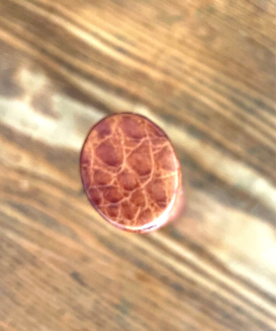 MONTBLANC モンブラン ペンケース フローレンス クロコダイルスタイル