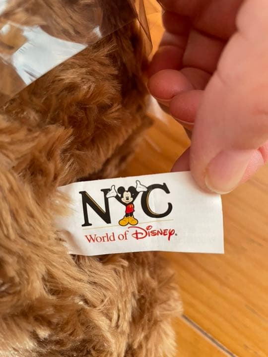 ダッフィー　NYC 2009