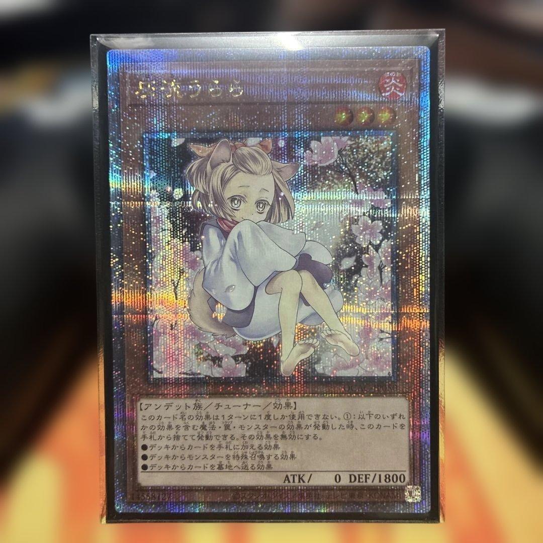 遊戯王　灰流うらら　絵違い　25th