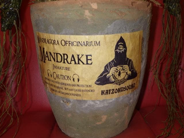 カイゾクソウコ★マンドレイク★28号★人形★フィギュア★マンドラゴラ★ハロウィン