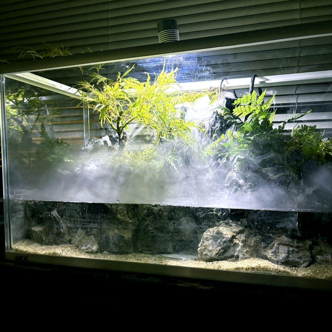 滝と霧の流れるアクアテラリウム　m3150m